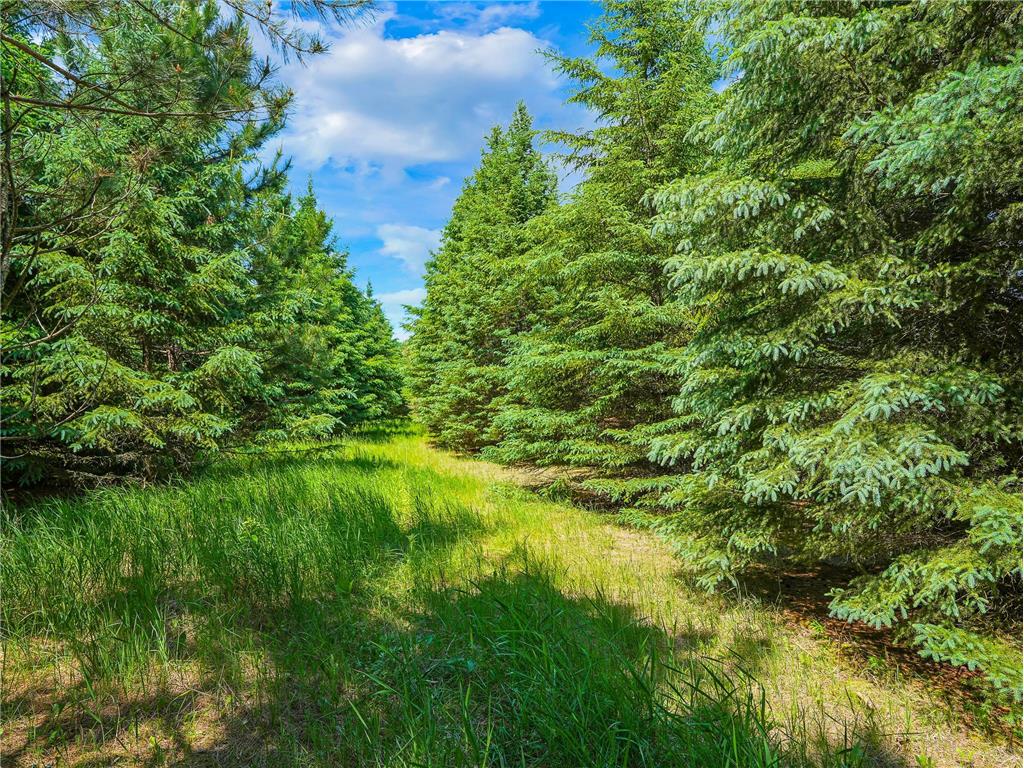 54267 440th St New York Mills MN 56567 7091721 image54