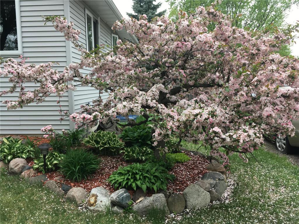 5427 Knox Avenue N Brooklyn Center MN 55430 7041250 image26