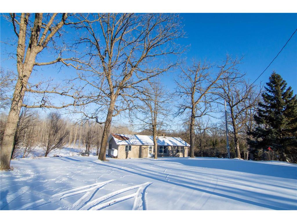 54272 310th Street Deer Creek Twp MN 56527 7037879 image1