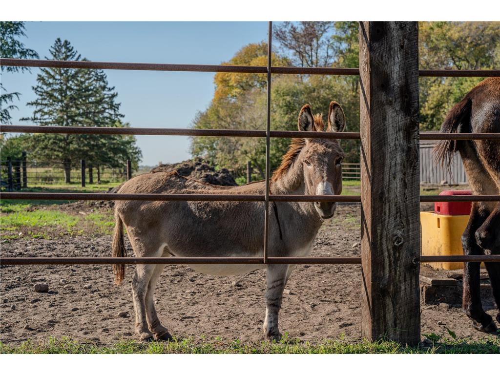 5445 157th Street S Riverton Twp MN 56547 7001297 image11