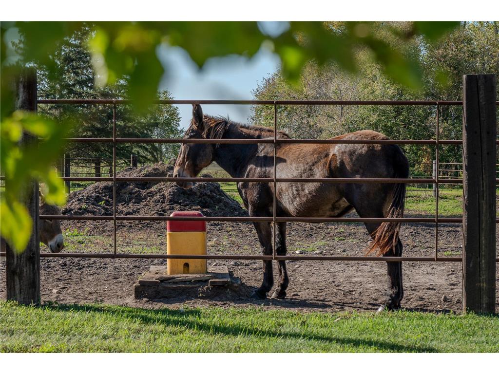 5445 157th Street S Riverton Twp MN 56547 7001297 image17