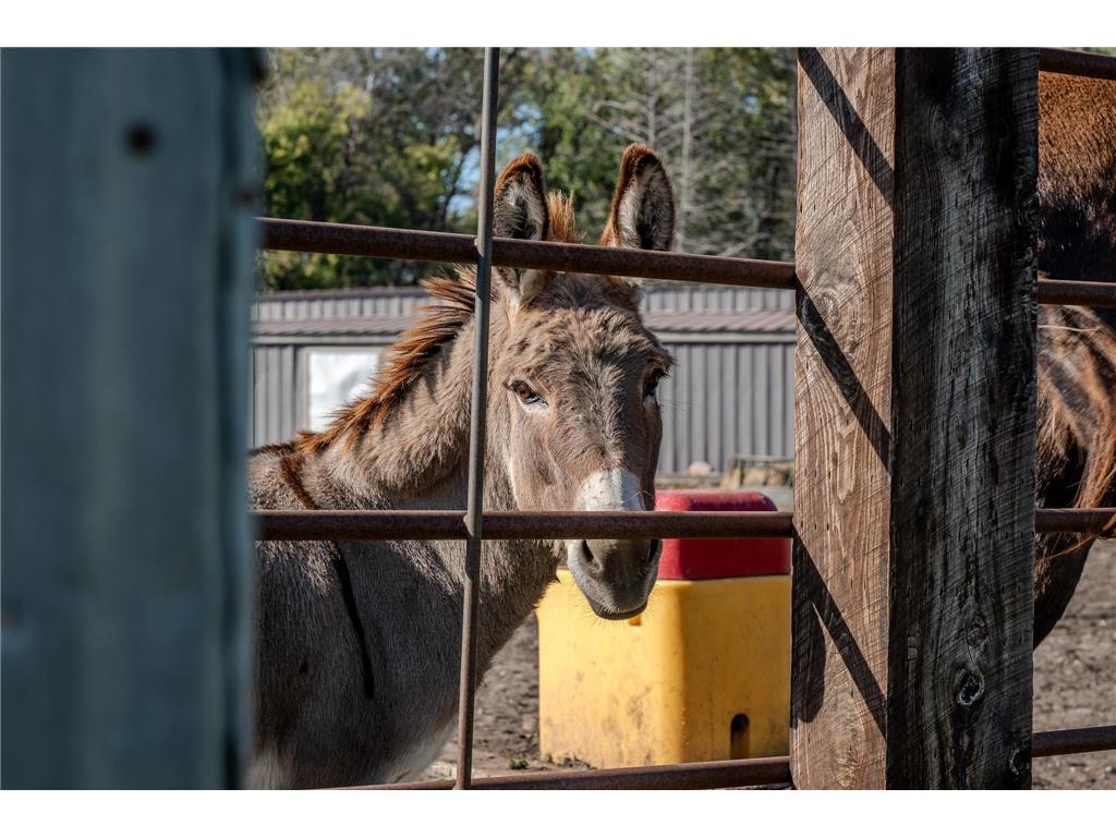 5445 157th Street S Riverton Twp MN 56547 7001297 image68