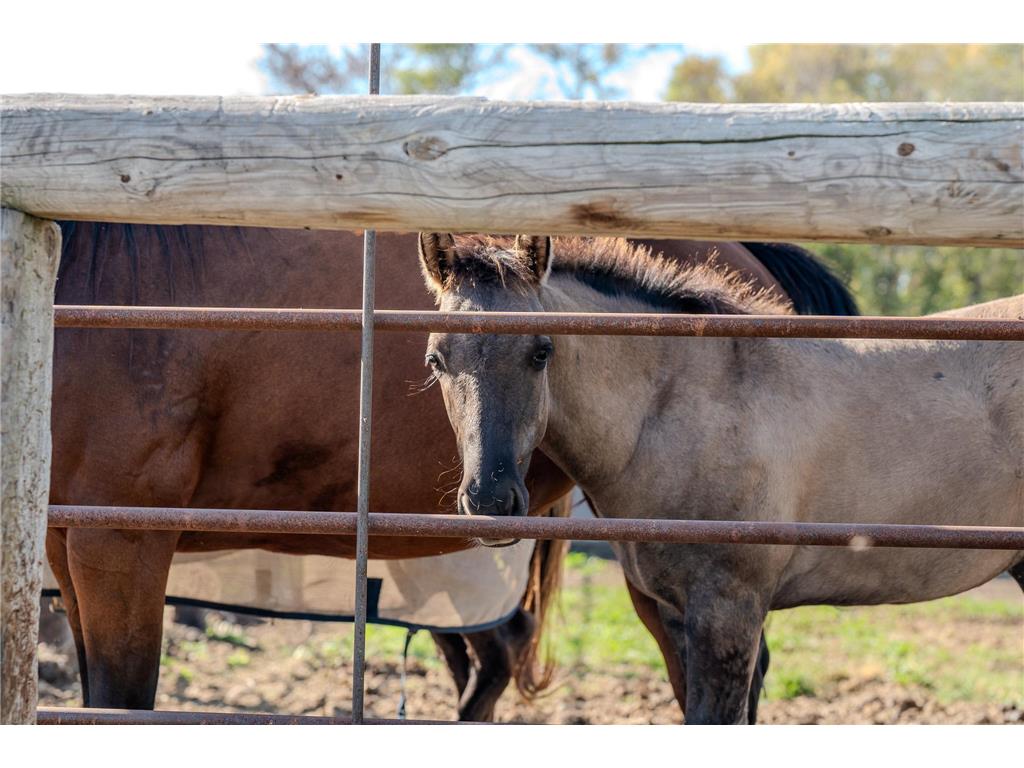 5445 157th Street S Riverton Twp MN 56547 7001297 image8