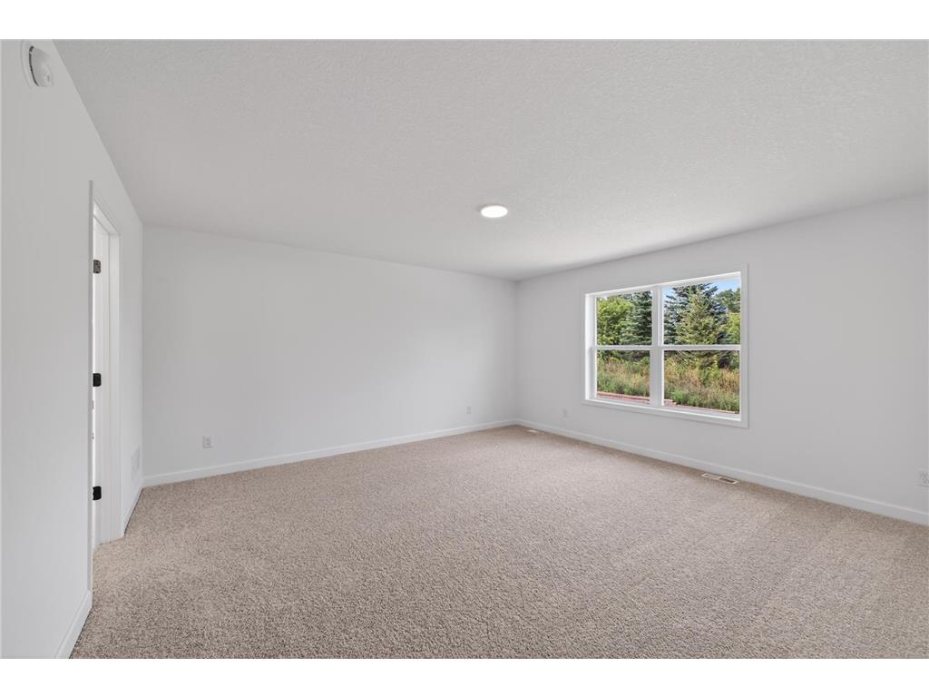 5448 Tallowtree Lane Woodbury MN 55129 7054950 image19