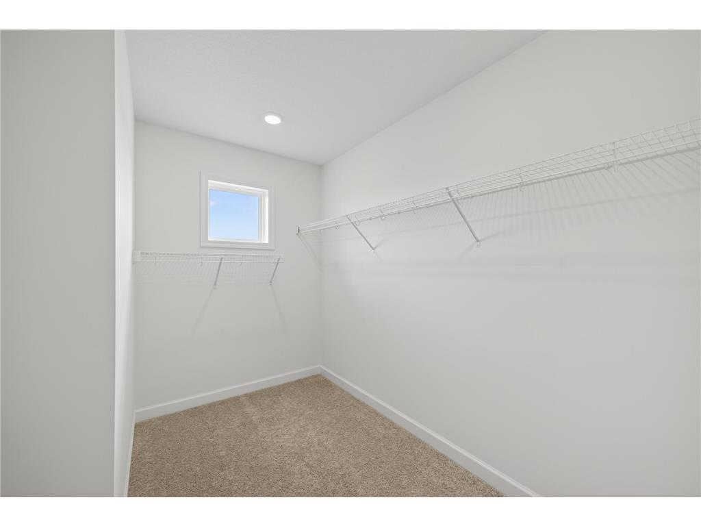 5448 Tallowtree Lane Woodbury MN 55129 7054950 image23