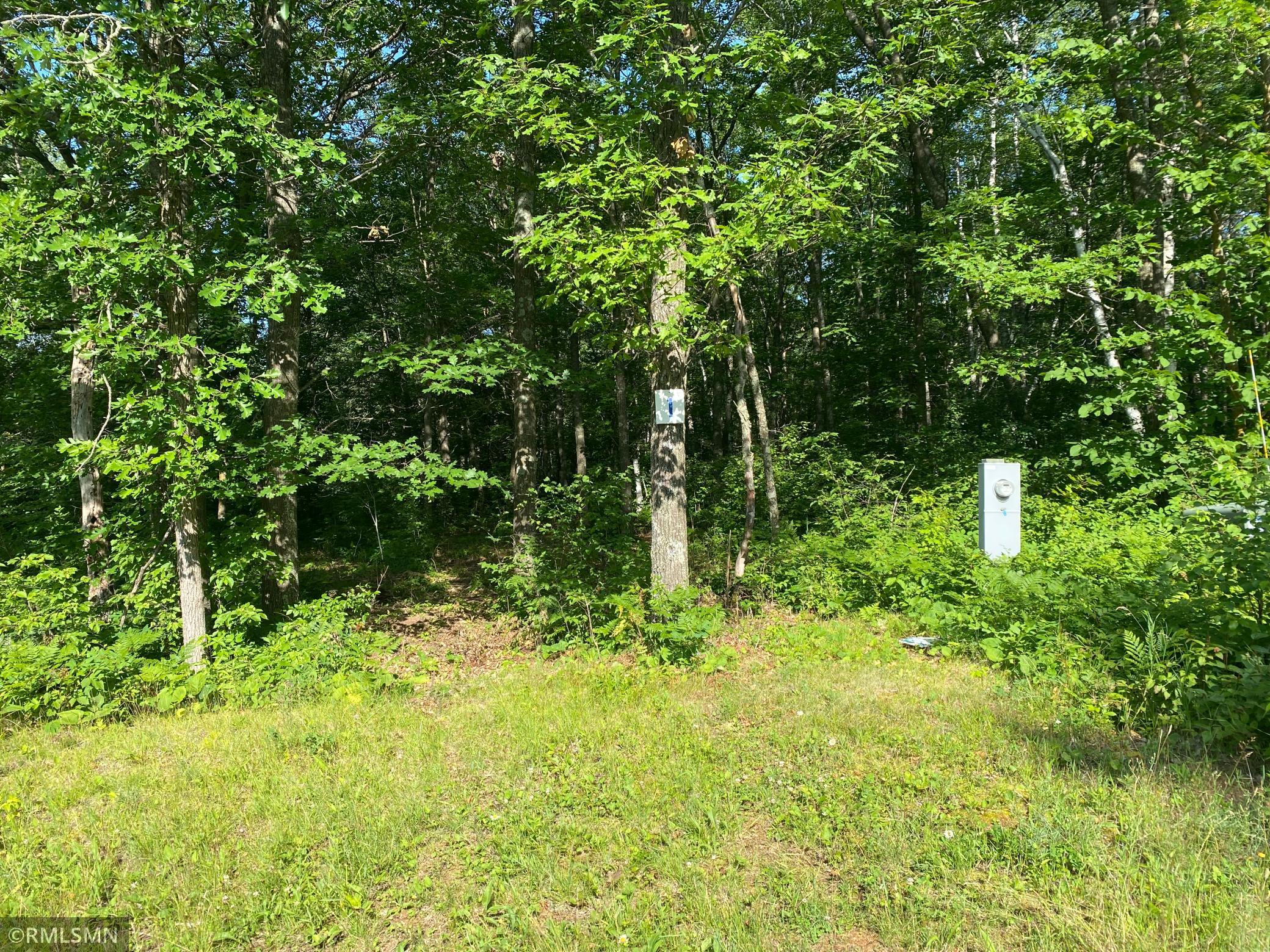 54519 United Country Court, Sandstone, MN 55072 MLS 6017911 Edina Realty