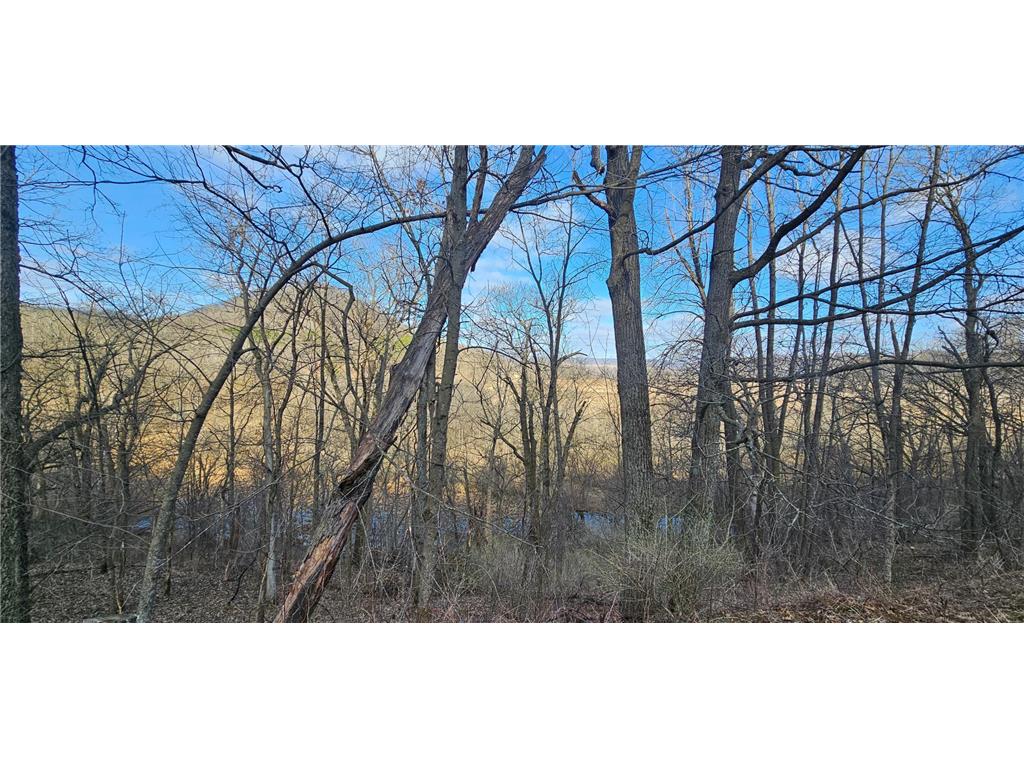 5452 Oak Forest Lane Mound Prairie Twp MN 55943 7049072 image11