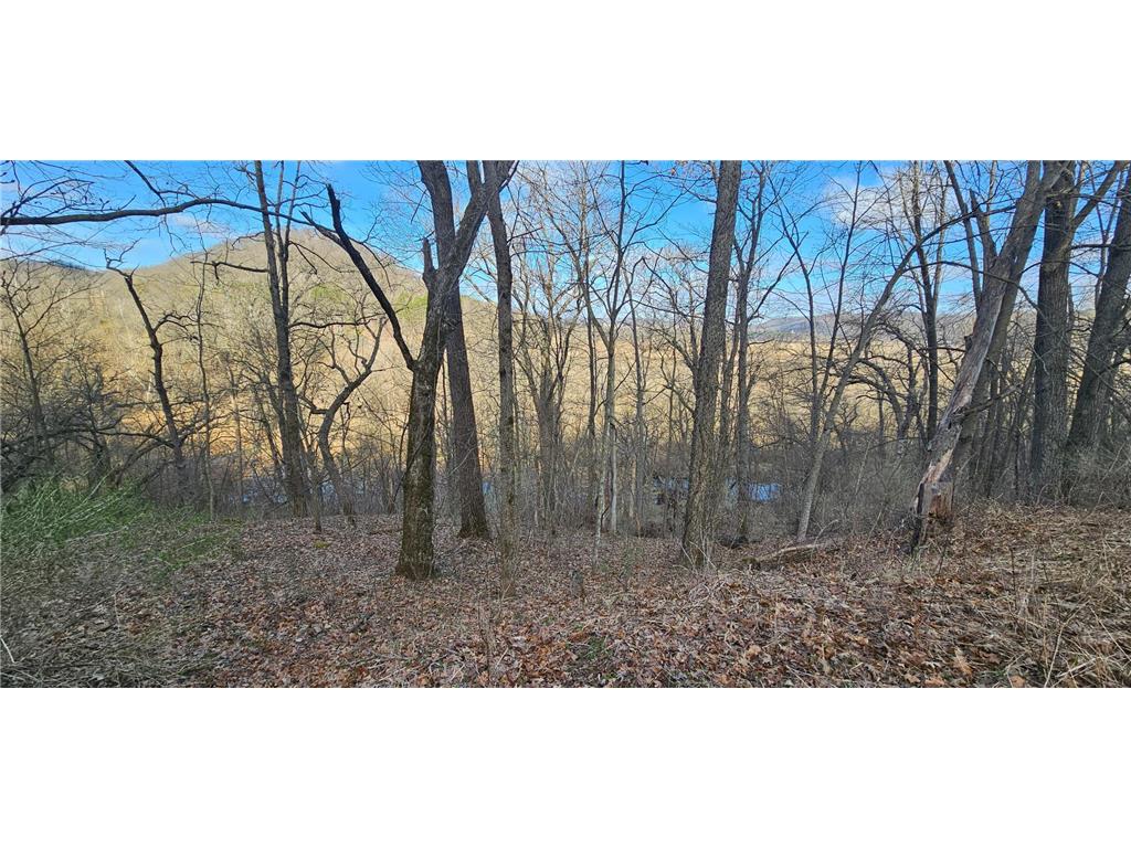 5452 Oak Forest Lane Mound Prairie Twp MN 55943 7049072 image3