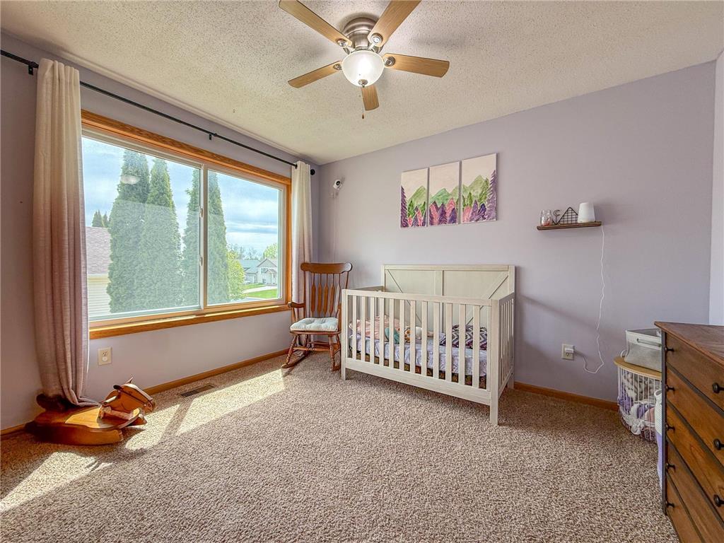 546 6th Street SW Pine Island MN 55963 7071036 image17