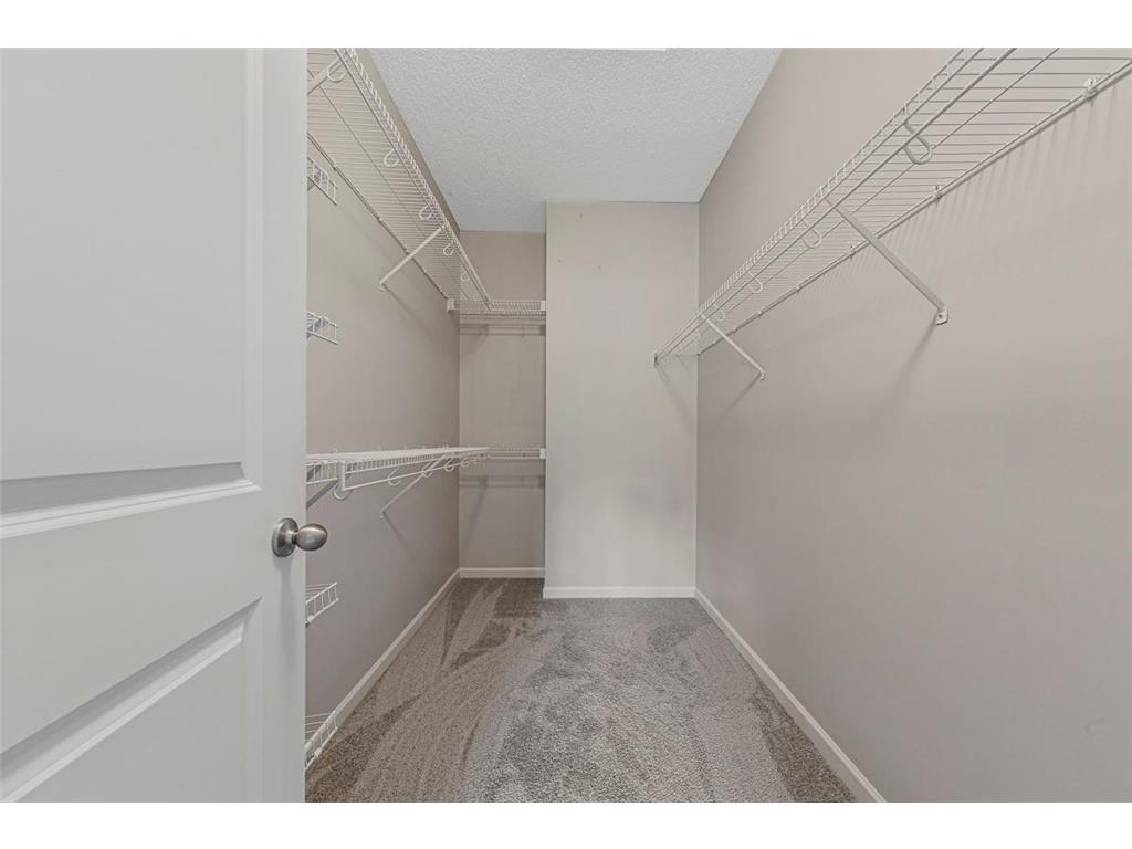 546 Cannon Way Dundas MN 55019 6800948 image20