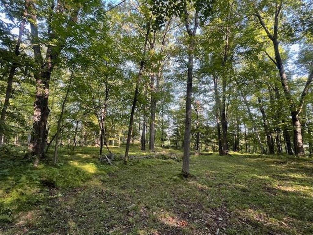 5465 Woods Bay Drive NE Outing MN 56662 - Roosevelt 6788942 image10