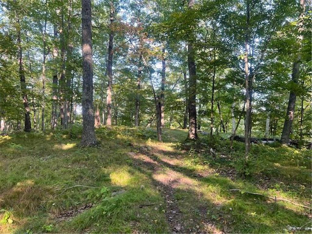 5465 Woods Bay Drive NE Outing MN 56662 - Roosevelt 6788942 image11