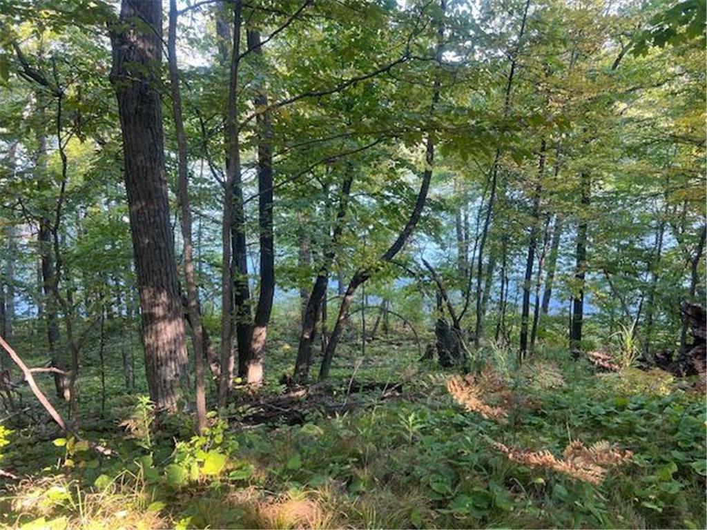 5465 Woods Bay Drive NE Outing MN 56662 - Roosevelt 6788942 image12