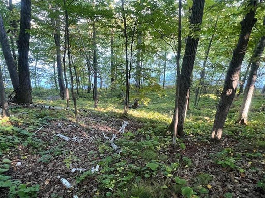 5465 Woods Bay Drive NE Outing MN 56662 - Roosevelt 6788942 image13