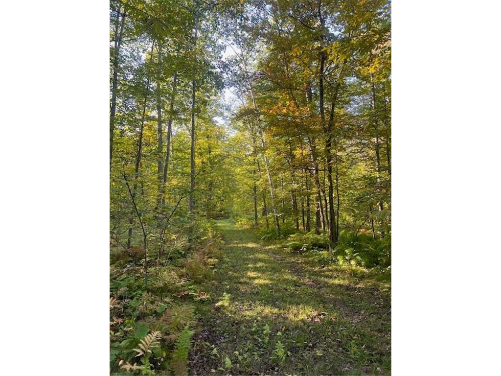 5465 Woods Bay Drive NE Outing MN 56662 - Roosevelt 6788942 image15