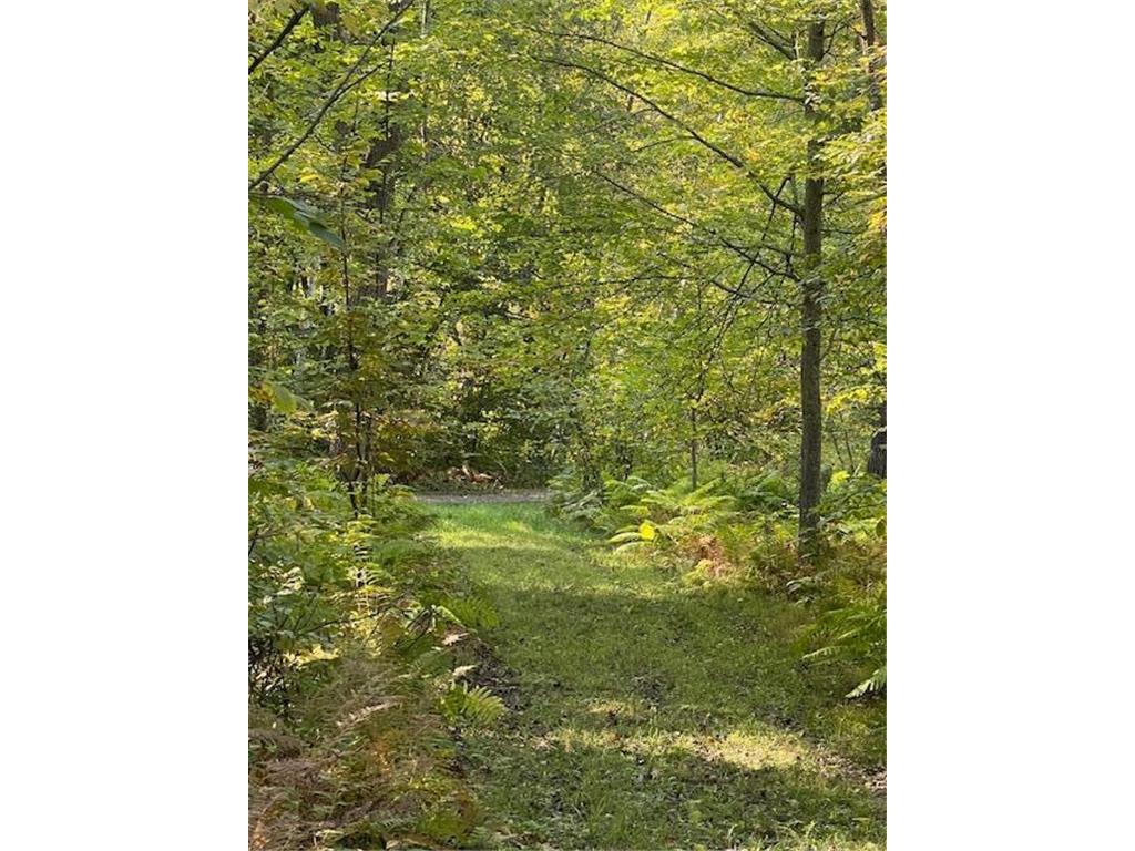 5465 Woods Bay Drive NE Outing MN 56662 - Roosevelt 6788942 image16