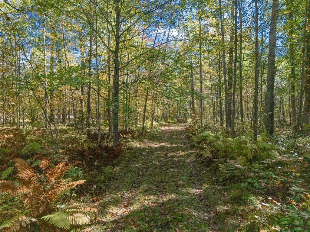 5465 Woods Bay Drive NE Outing MN 56662 - Roosevelt 6788942 image17