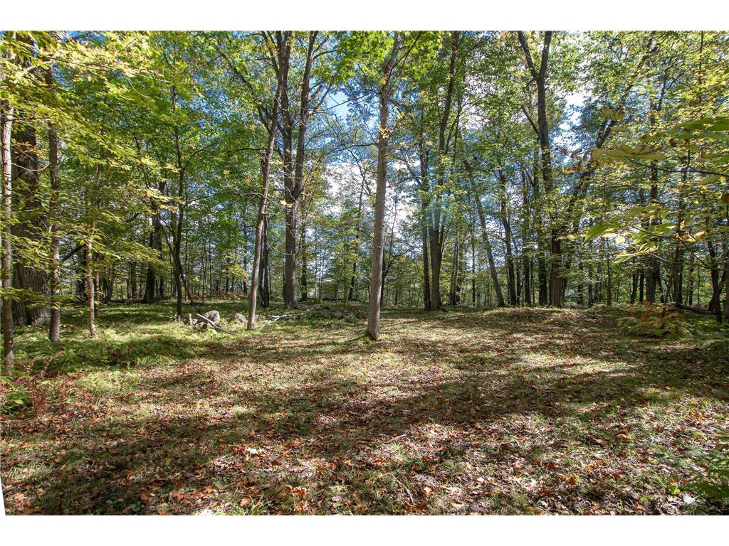 5465 Woods Bay Drive NE Outing MN 56662 - Roosevelt 6788942 image24