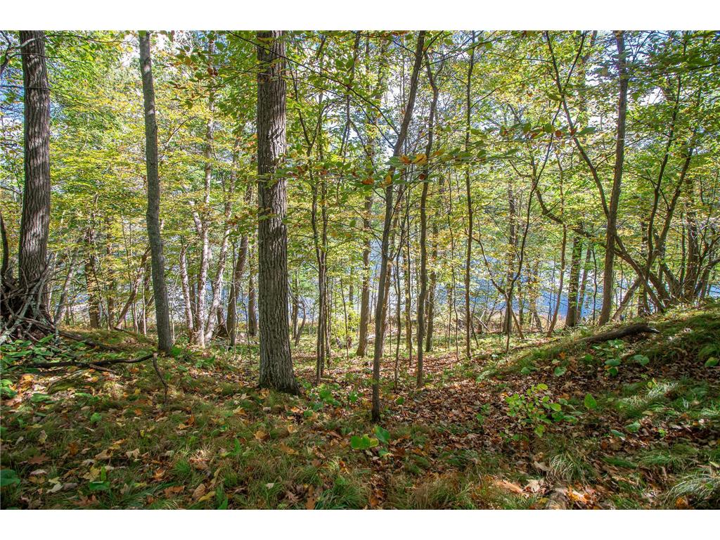 5465 Woods Bay Drive NE Outing MN 56662 - Roosevelt 6788942 image25