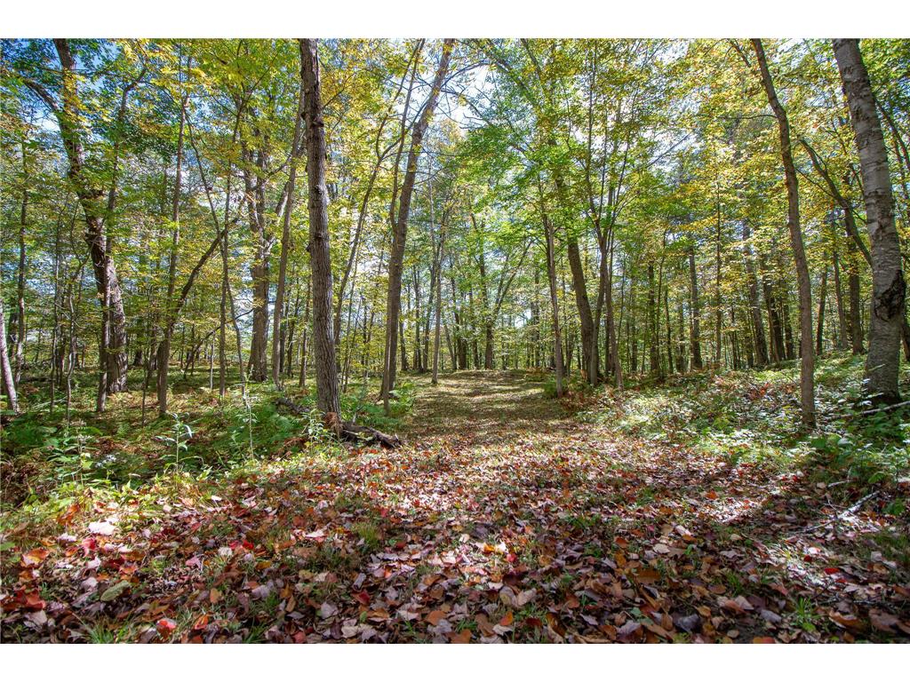 5465 Woods Bay Drive NE Outing MN 56662 - Roosevelt 6788942 image26