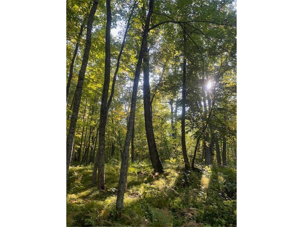 5465 Woods Bay Drive NE Outing MN 56662 - Roosevelt 6788942 image27