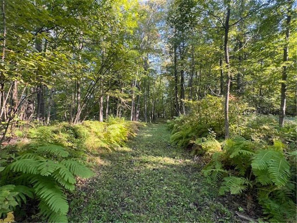 5465 Woods Bay Drive NE Outing MN 56662 - Roosevelt 6788942 image6