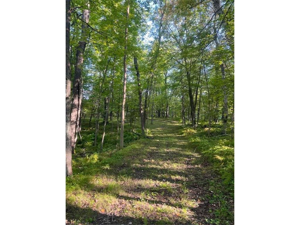 5465 Woods Bay Drive NE Outing MN 56662 - Roosevelt 6788942 image8