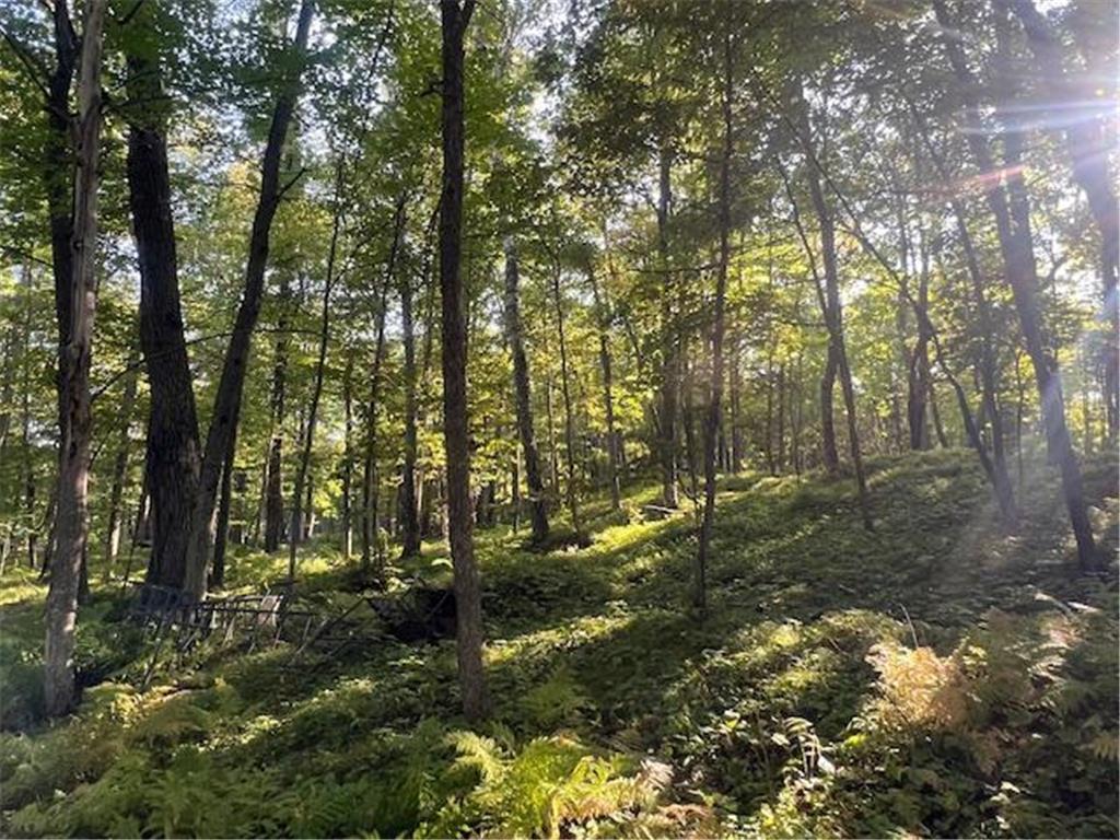 5465 Woods Bay Drive NE Outing MN 56662 - Roosevelt 6788942 image9