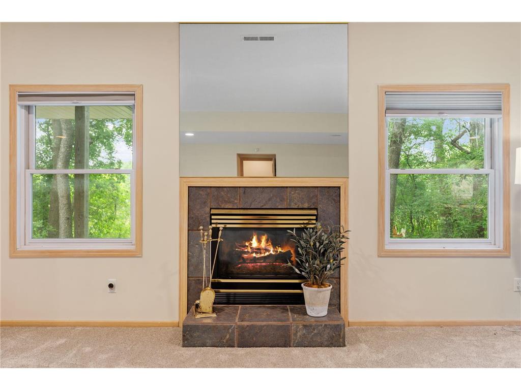 547 Abbey Way Mendota Heights MN 55120 7098190 image46