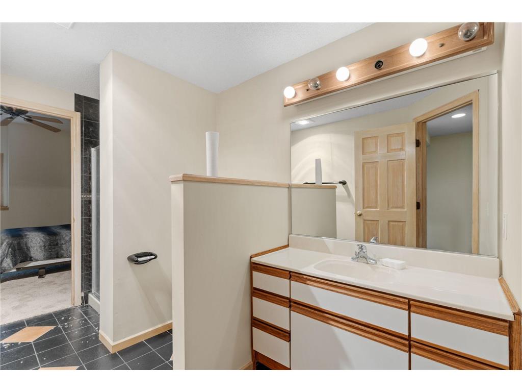 547 Abbey Way Mendota Heights MN 55120 7098190 image57