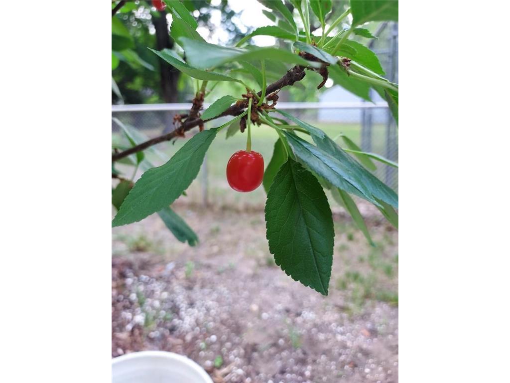 548 Doris Avenue Shoreview MN 55126 6824944 image39