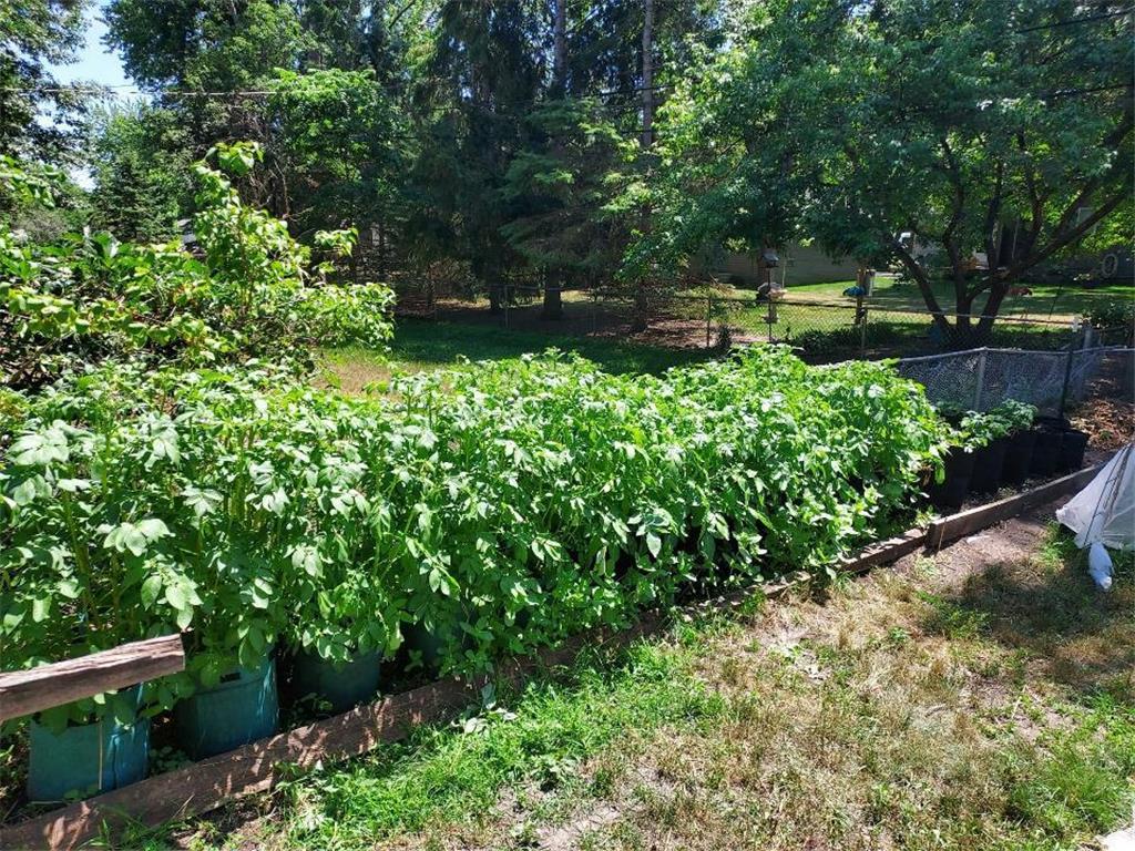 548 Doris Avenue Shoreview MN 55126 6824944 image44