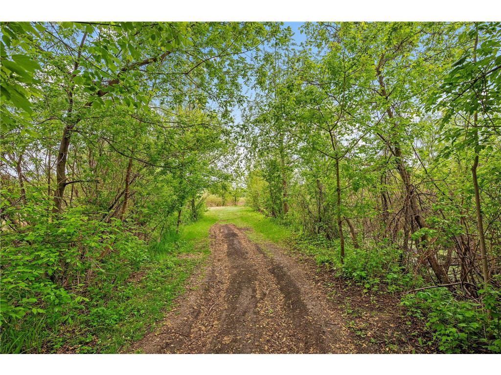 5487 Kahler Drive NE Albertville MN 55301 7071090 image33