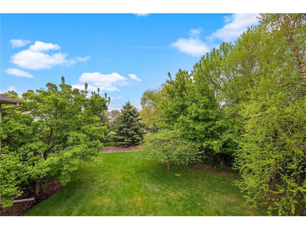 5487 Kahler Drive NE Albertville MN 55301 7071090 image36