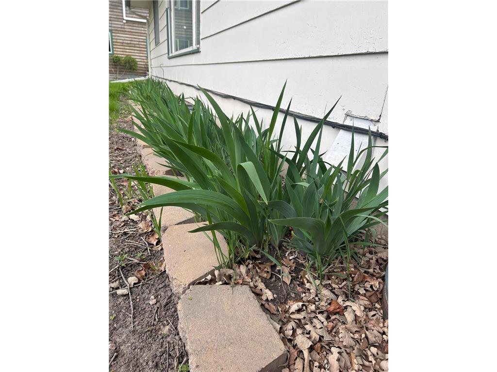 549 23 E Milaca MN 56353 7057282 image52