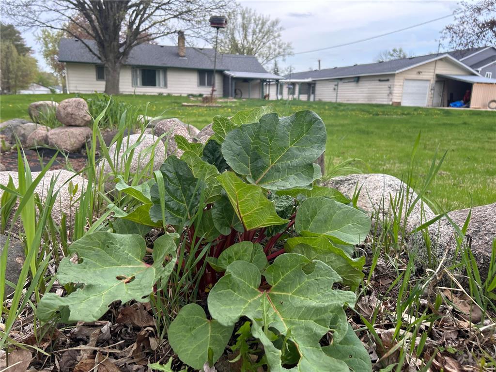 549 23 E Milaca MN 56353 7057282 image53