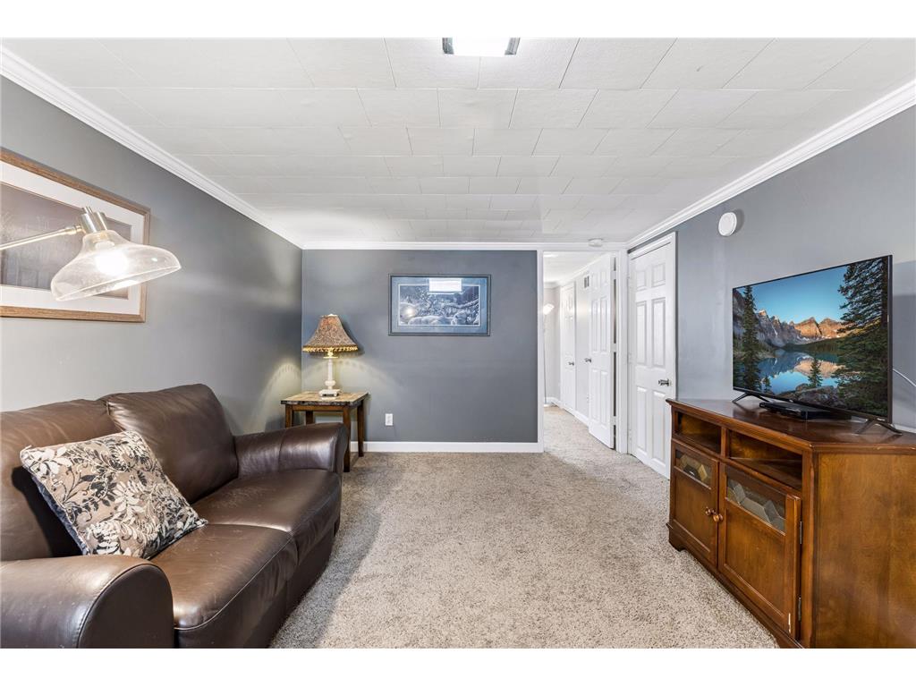 549 Doris Avenue Shoreview MN 55126 7045878 image17