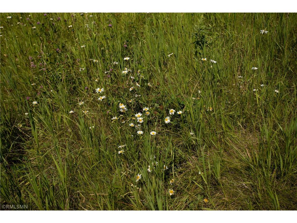 550 Eldo Lane SW Alexandria MN 56308 6752719 image50