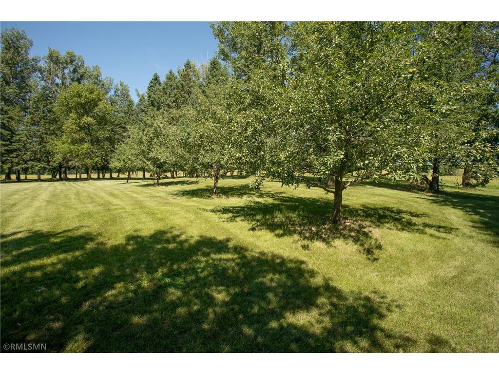 550 Eldo Lane SW Alexandria MN 56308 6752719 image51