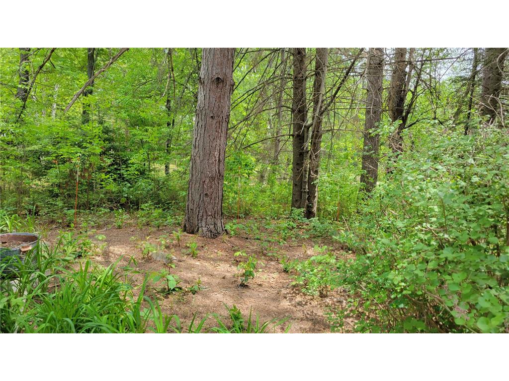 550 Shady Shores Trail NW Pine River MN 56474 - Hand Lake 7084627 image10