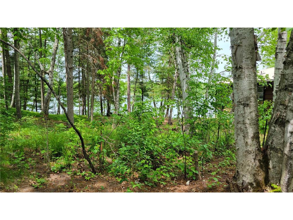 550 Shady Shores Trail NW Pine River MN 56474 - Hand Lake 7084627 image13