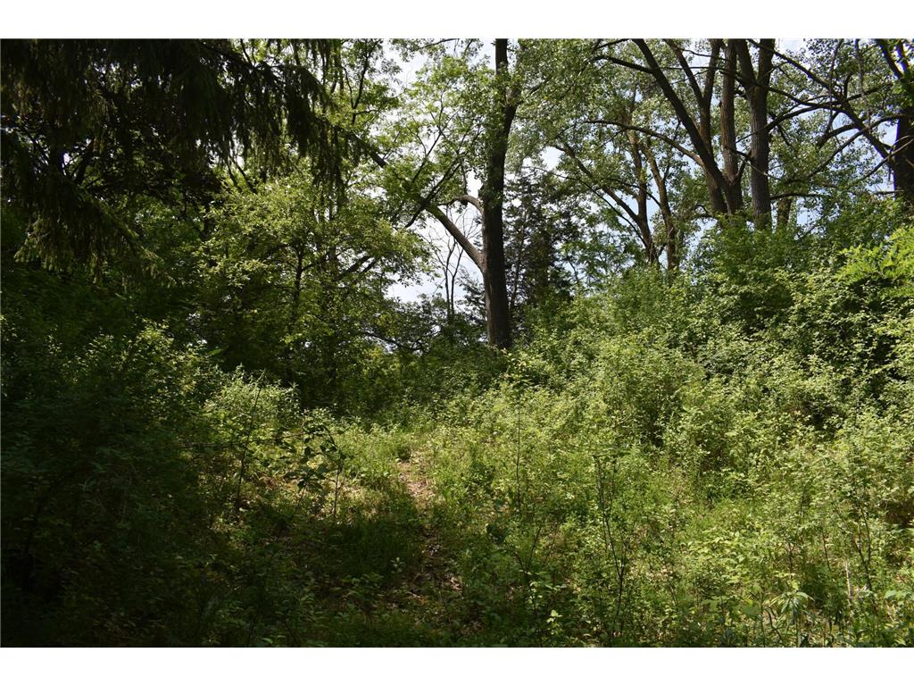 5500 Rowland Road Minnetonka MN 55343 6768792 image10