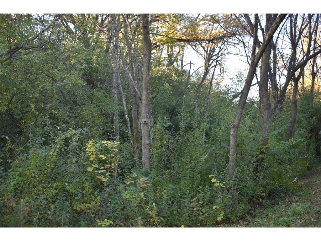 5500 Rowland Road Minnetonka MN 55343 6768792 image11