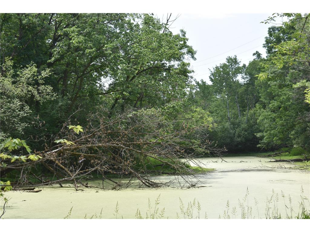 5500 Rowland Road Minnetonka MN 55343 6768792 image6