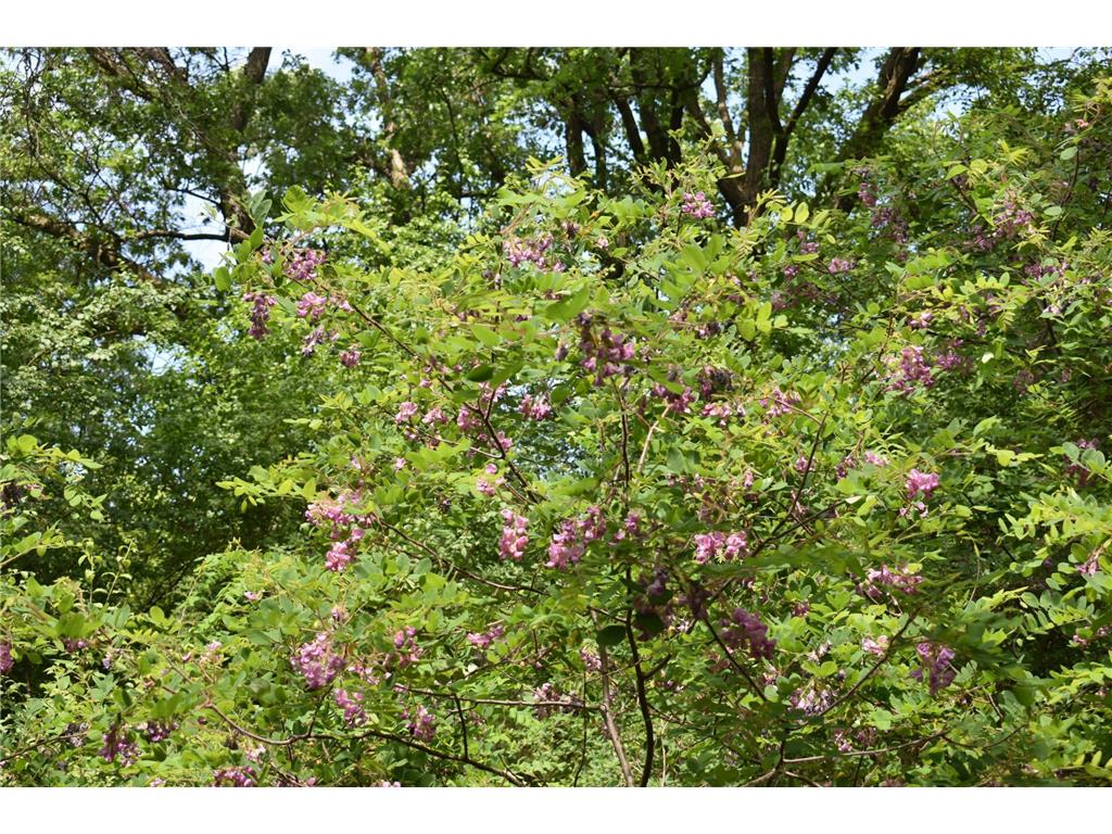 5500 Rowland Road Minnetonka MN 55343 6768792 image8