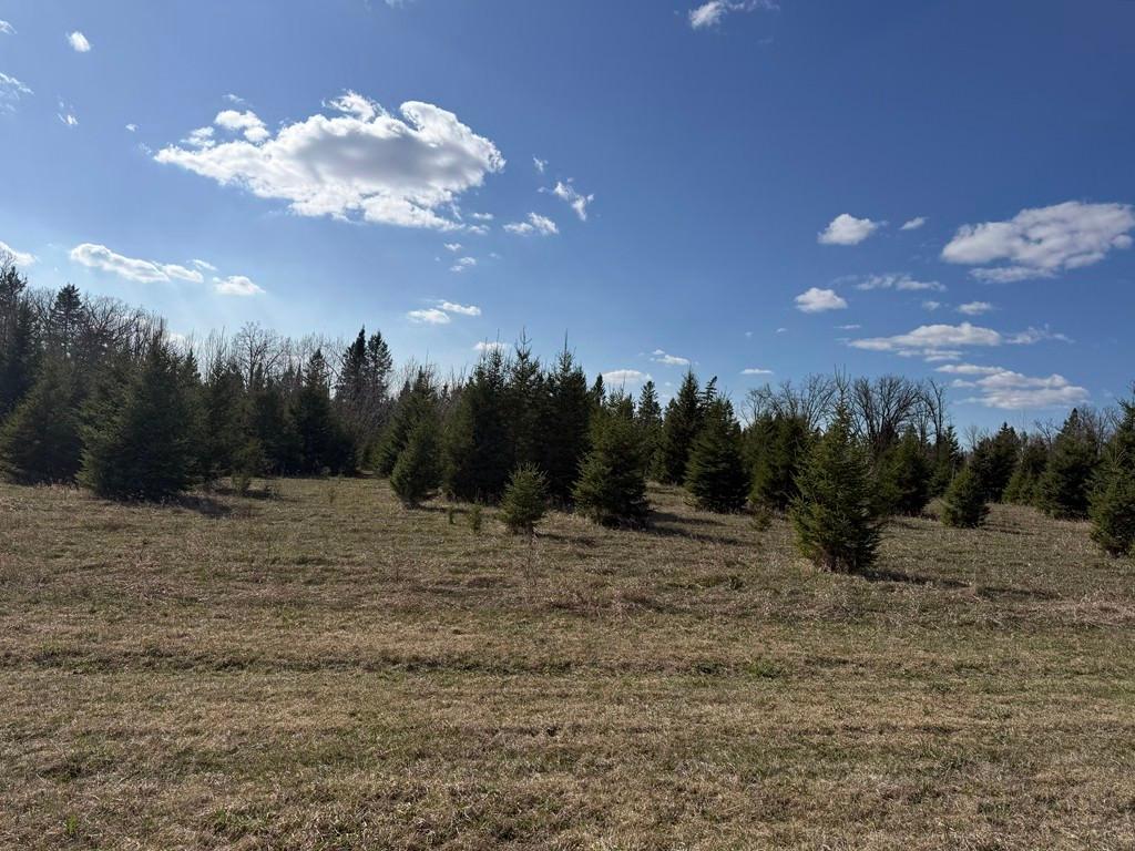 55000 Kueber Road Park Rapids MN 56470 7067541 image1