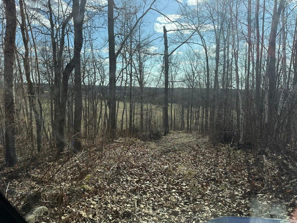 55000 Kueber Road Park Rapids MN 56470 7067541 image12