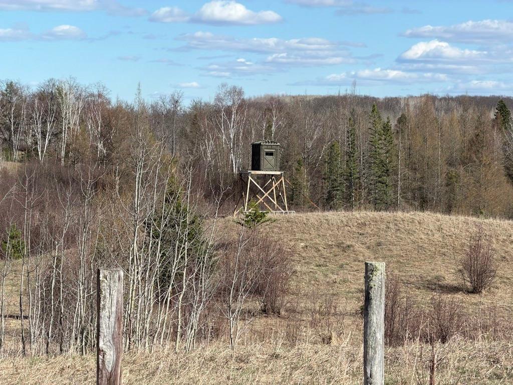55000 Kueber Road Park Rapids MN 56470 7067541 image14