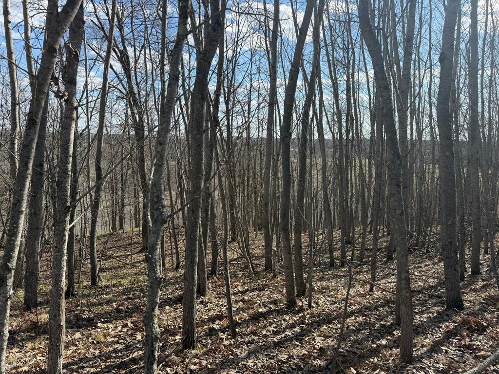 55000 Kueber Road Park Rapids MN 56470 7067541 image15