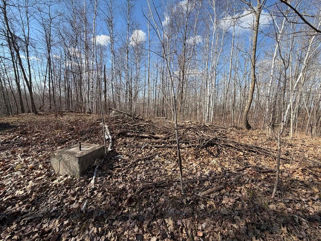 55000 Kueber Road Park Rapids MN 56470 7067541 image18